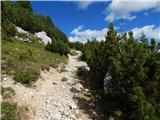 Ehrwald - Zugspitze